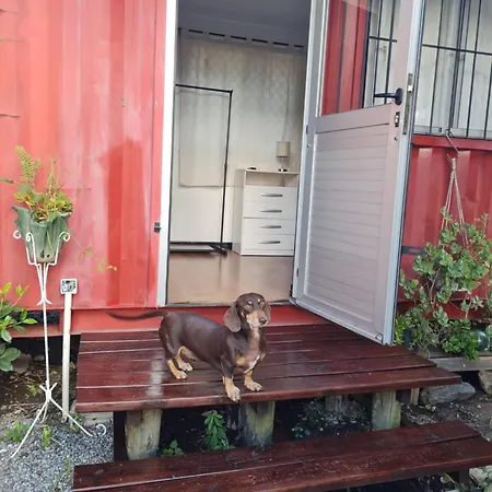 Lo De Beto Apartment Colonia del Sacramento Exterior photo